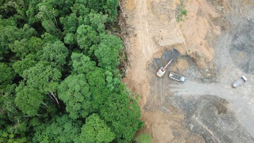 Investor group targets 100 companies over nature loss