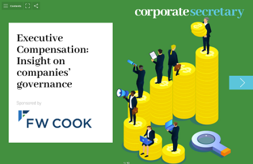 Executive Compensation: Insight on companies’ governance