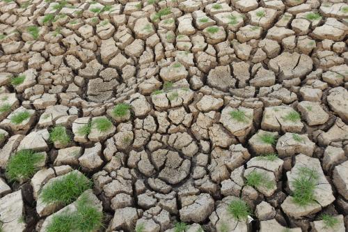 climate change