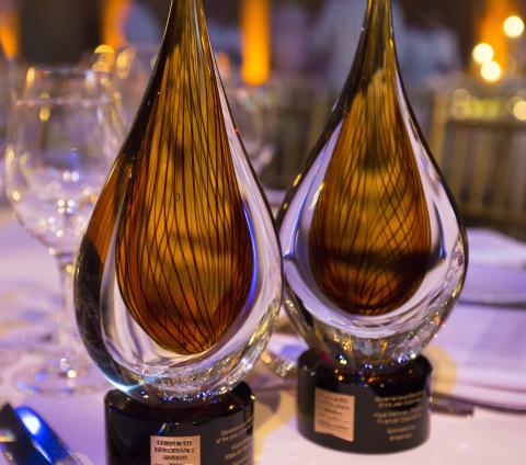 New categories announced for Corporate Governance Awards 2023