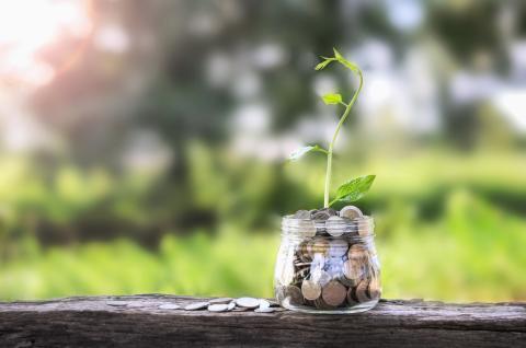 Hedge funds to increase ESG-linked investments, survey finds