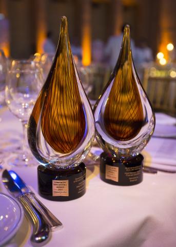 Nominees announced for Corporate Governance Awards 2022